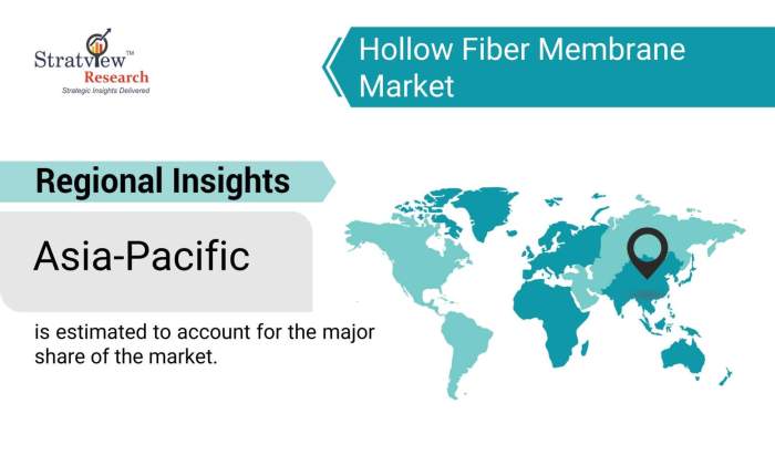Hollow-Fiber-Membrane-Market-Regional-Insights